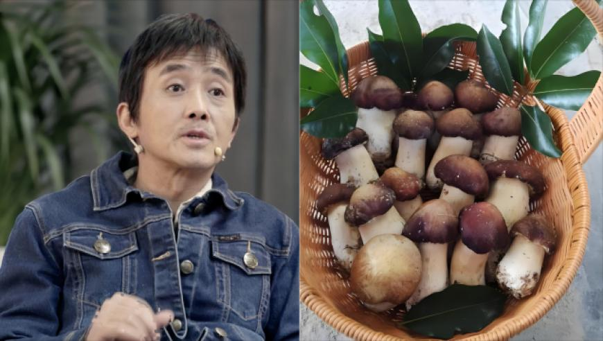 国足这么秀让我很陌生,管家婆一肖一码中100中奖,前瞻性战略落实探讨_豪华版V5.99